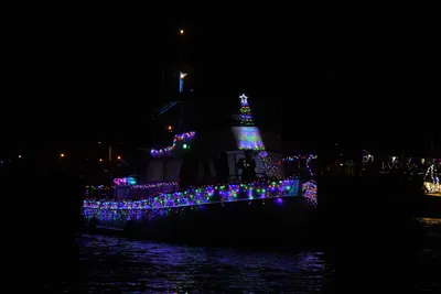 DSC_2505 (Large).JPG